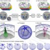 How machine learning will help us prepare for extreme weather ...