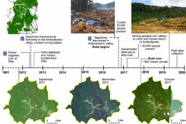 Madagascar's mining rush has caused no more deforestation than ...