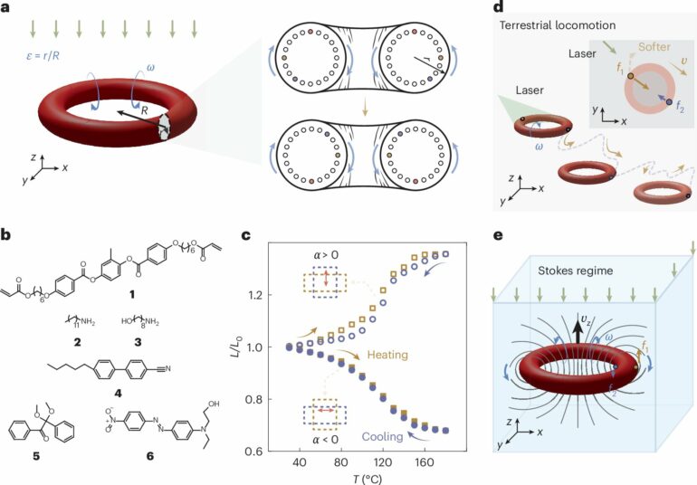 Soft robotics redefined: Meet the light-driven toroidal micro ...