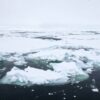 Melting Arctic sea-ice could affect global ocean circulation ...