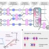 Merging atomic clocks with quantum computers could lead to ...