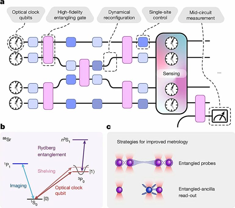 Merging atomic clocks with quantum computers could lead to ...