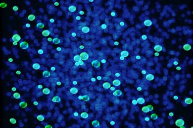 Microbes in environment drove methane emissions more than fossil ...