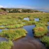 Modeling study shows that marshes provide cost-effective coastal ...