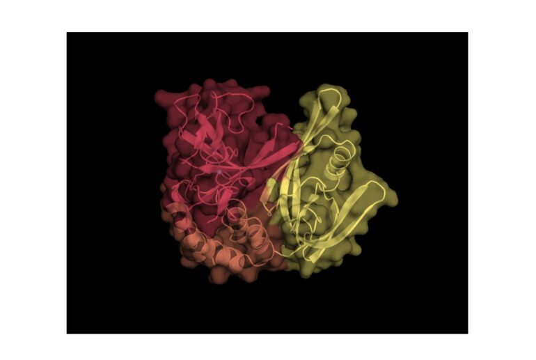 Molecular 'cut and sew' process could accelerate drug design