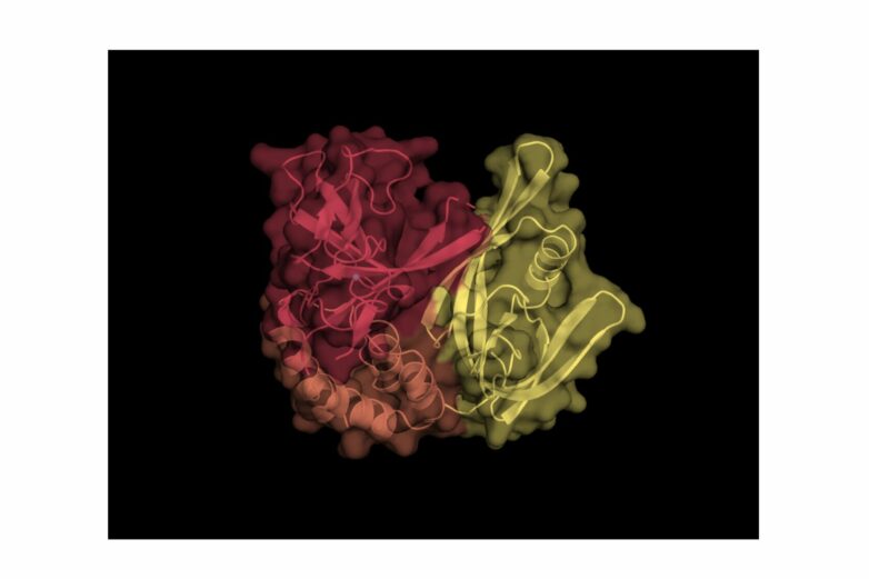 Molecular 'cut and sew' process could accelerate drug design