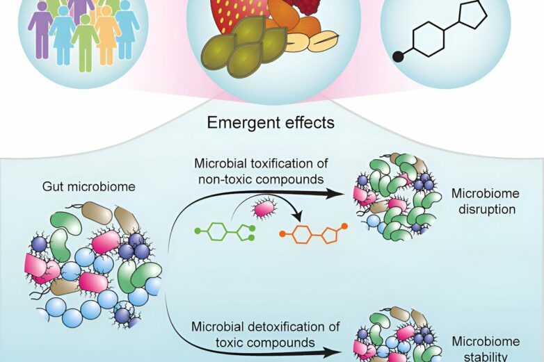 Molecular map points the way toward better food choices