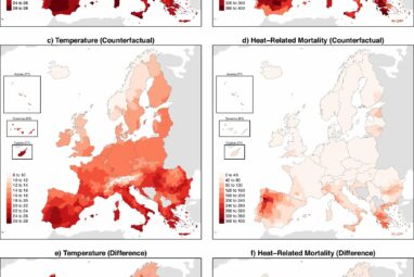 More than half of European heat-related deaths in summer 2022 ...