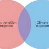 New research shows legal challenges to climate action on the rise