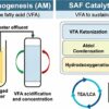 New technology converts wastewater to sustainable aviation fuel ...