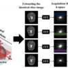 Motion Artifact Reduction Using U-Net Model with Three-Dimensional ...