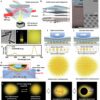 Novel optical tactile sensors pave the way for advanced biometric ...