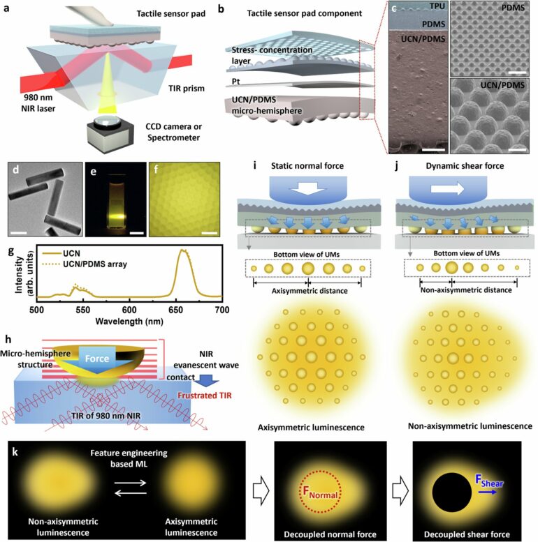 Novel optical tactile sensors pave the way for advanced biometric ...