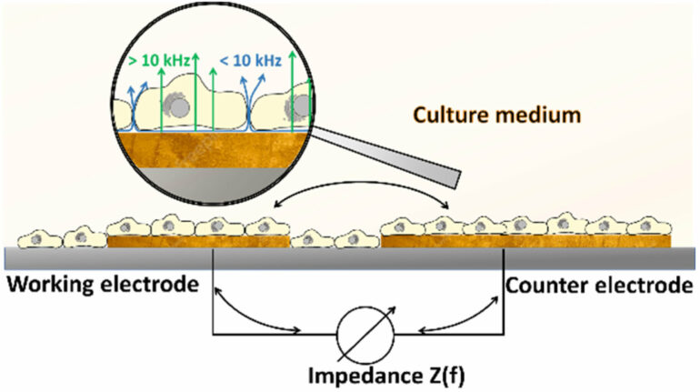 Novel sensors could help develop bee-friendly protection for plants