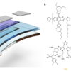 Intrinsically stretchable organic photovoltaics by redistributing ...