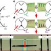 Physicists achieve strong coupling of Andreev qubits via microwave ...