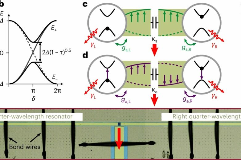 Physicists achieve strong coupling of Andreev qubits via microwave ...