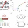 Physicists uncover universal non-equilibrium quantum dynamics in ...