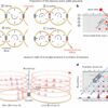 Quantum research breakthrough uses synthetic dimensions to ...