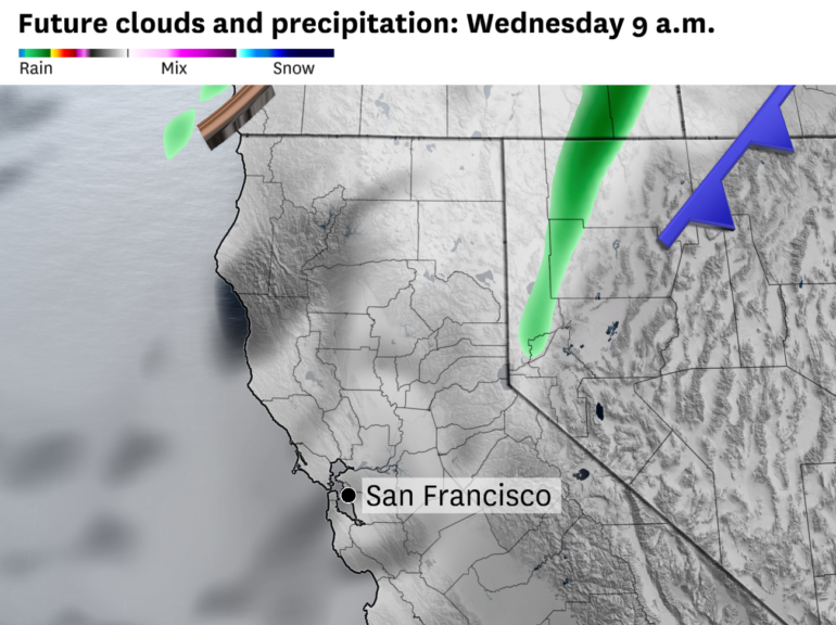 Rain may have helped form the first cells, kick-starting life as ...