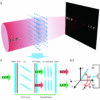 Researchers harness liquid crystal structures to design simple ...