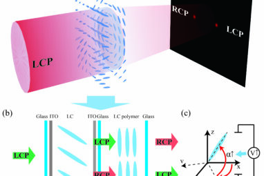 Researchers harness liquid crystal structures to design simple ...