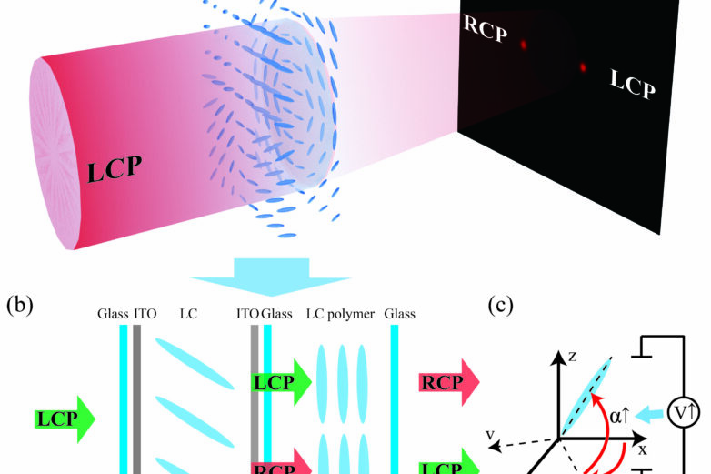 Researchers harness liquid crystal structures to design simple ...