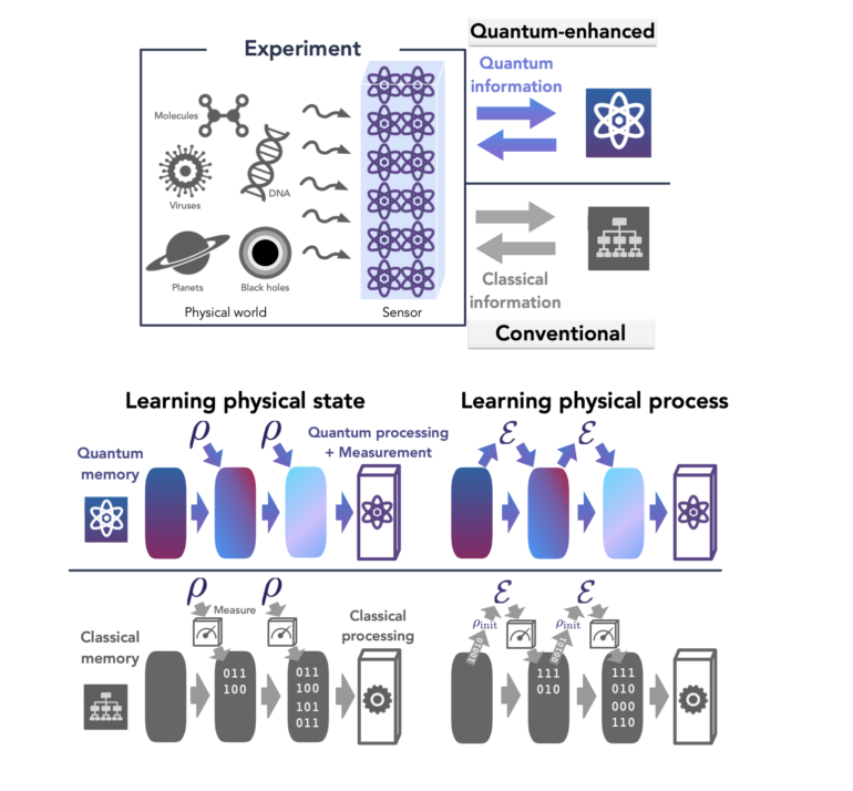 Quantum Advantage in Learning from Experiments