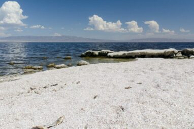 Salton Sea, an area rich with lithium, is a hot spot for child ...