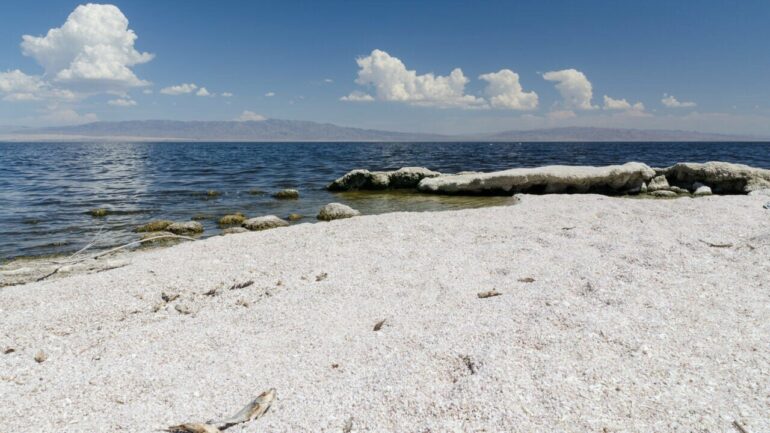 Salton Sea, an area rich with lithium, is a hot spot for child ...