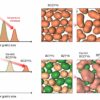 Scientists develop a new electrolyte synthesis method for next ...