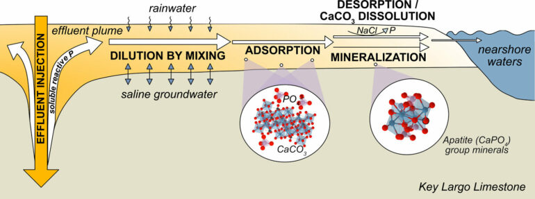 Scientists examine how wastewater practices in Florida Keys impact ...