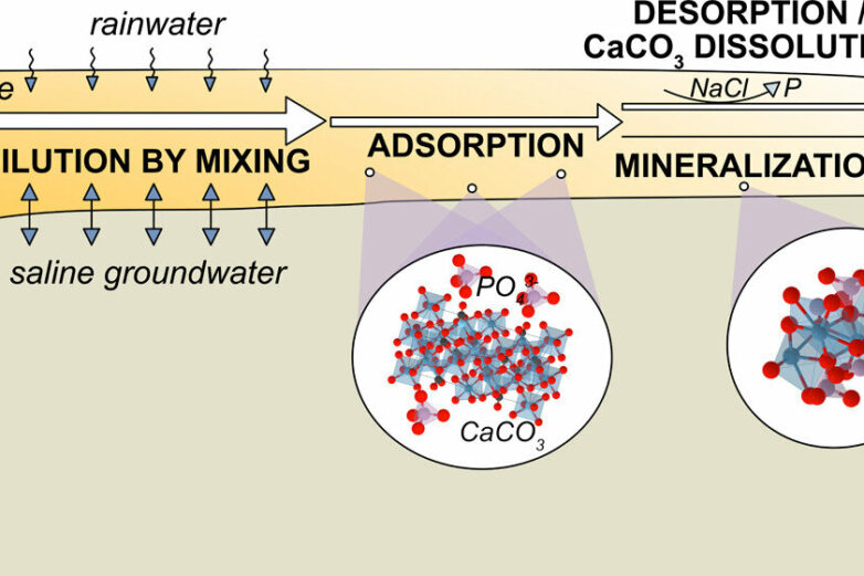 Scientists examine how wastewater practices in Florida Keys impact ...