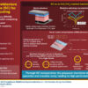 Self-compliant memristive device enables multilevel operation and ...