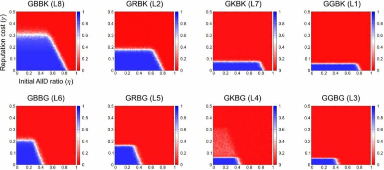 Simulation study identifies robust social norms that sustain ...