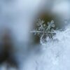 Snowflake dance analysis could improve rain forecasts