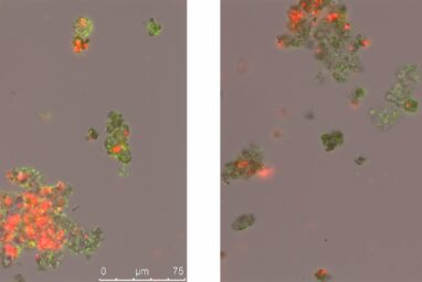 Some microbes used poison gas in battle for iron in the Earth's ...