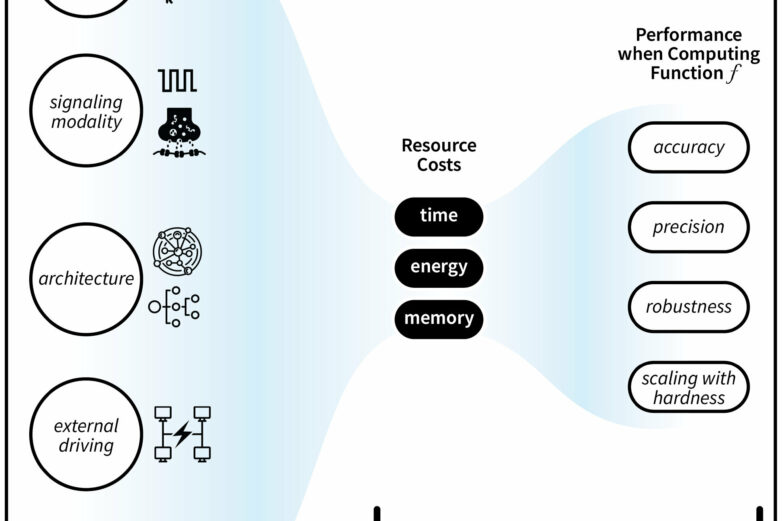 Stochastic thermodynamics may be key to understanding energy costs ...