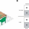 Study finds gender influences fairness attitudes in children