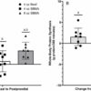 Study finds ground beef more effective than soy for muscle building