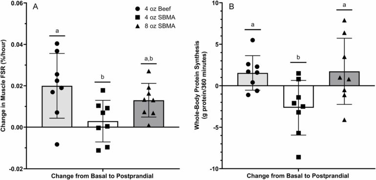 Study finds ground beef more effective than soy for muscle building