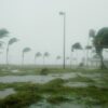 Study links hurricanes to higher death rates for nearly 15 years ...