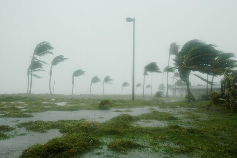 Study links hurricanes to higher death rates for nearly 15 years ...