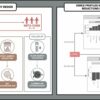 Study links PFAS exposure to kidney function decline via gut ...