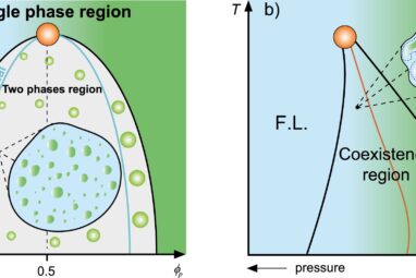 Study proposes that proteins can compartmentalize and form ...