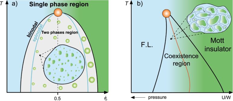 Study proposes that proteins can compartmentalize and form ...