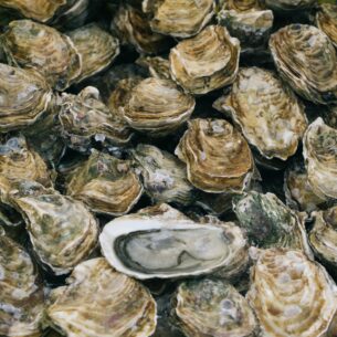 Sustainable oyster harvesting in the Stone Age: Lessons for modern ...