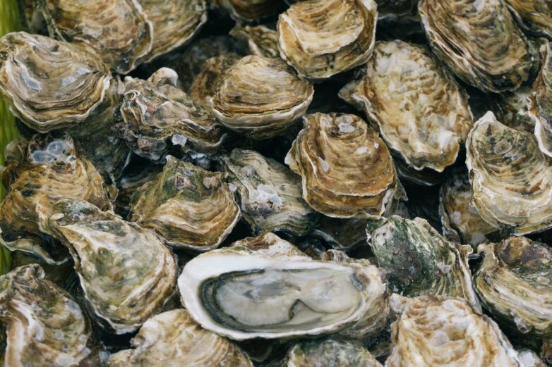 Sustainable oyster harvesting in the Stone Age: Lessons for modern ...