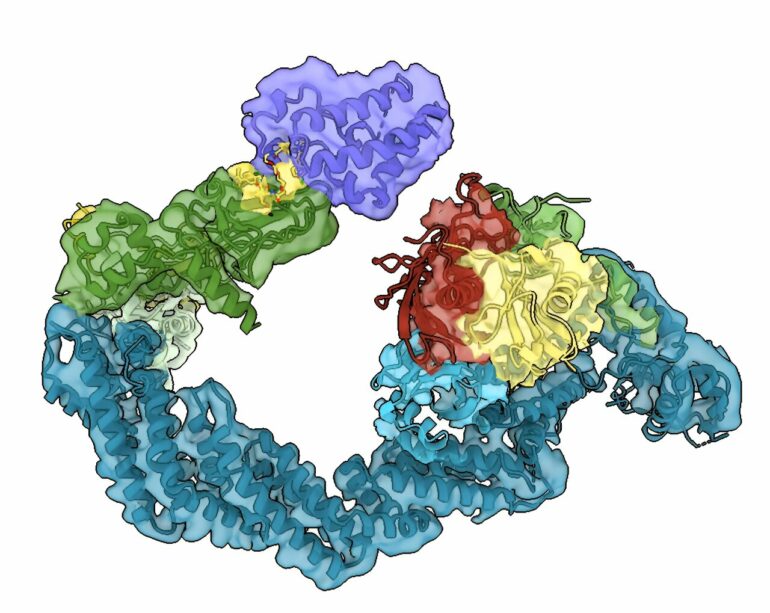 Targeting 'undruggable' diseases: Researchers reveal new levels of ...