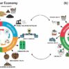 The transition to a circular bioeconomy requires getting prices ...